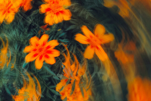 eugene-golovesov-VdQigv27QgY-unsplash (1) eugene-golovesov-VdQigv27QgY-unsplash (1)