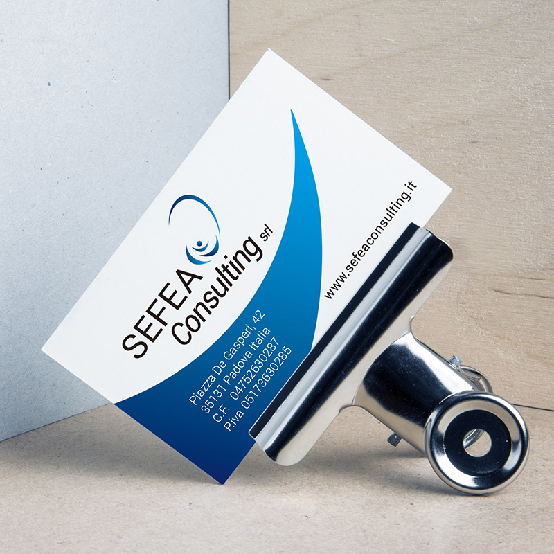 SEFEA Consulting business card